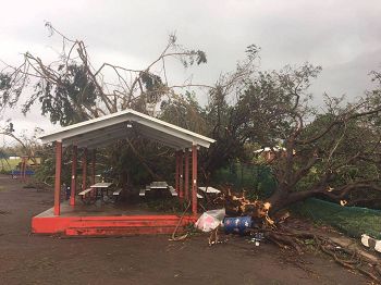 degâts causés par un arbre non élagué