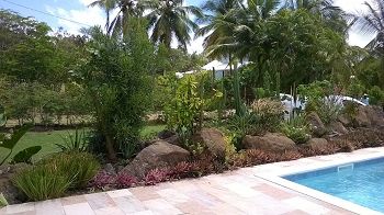 jardin de rocaille au bord d'une piscine en Martinique