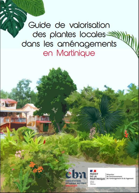 Guide de valorisation des plantes locales dans les aménagements en martinique