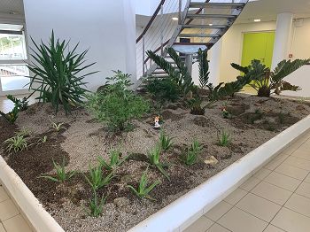 Jardin intérieur pour un immeuble en Martinique