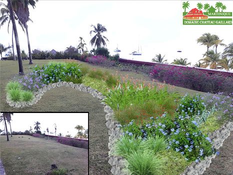 plan paysager martinique jardin