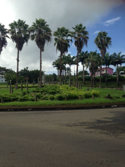 rond point du stade de riviere salee