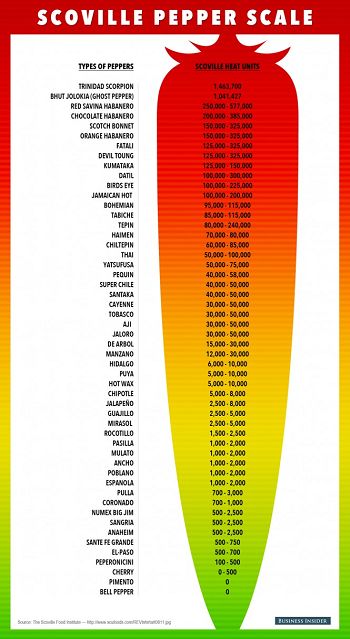 schéma illustrant l'échelle des scoville