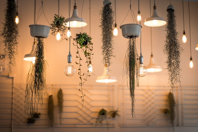 plantes d'interieur suspendues et eclairage