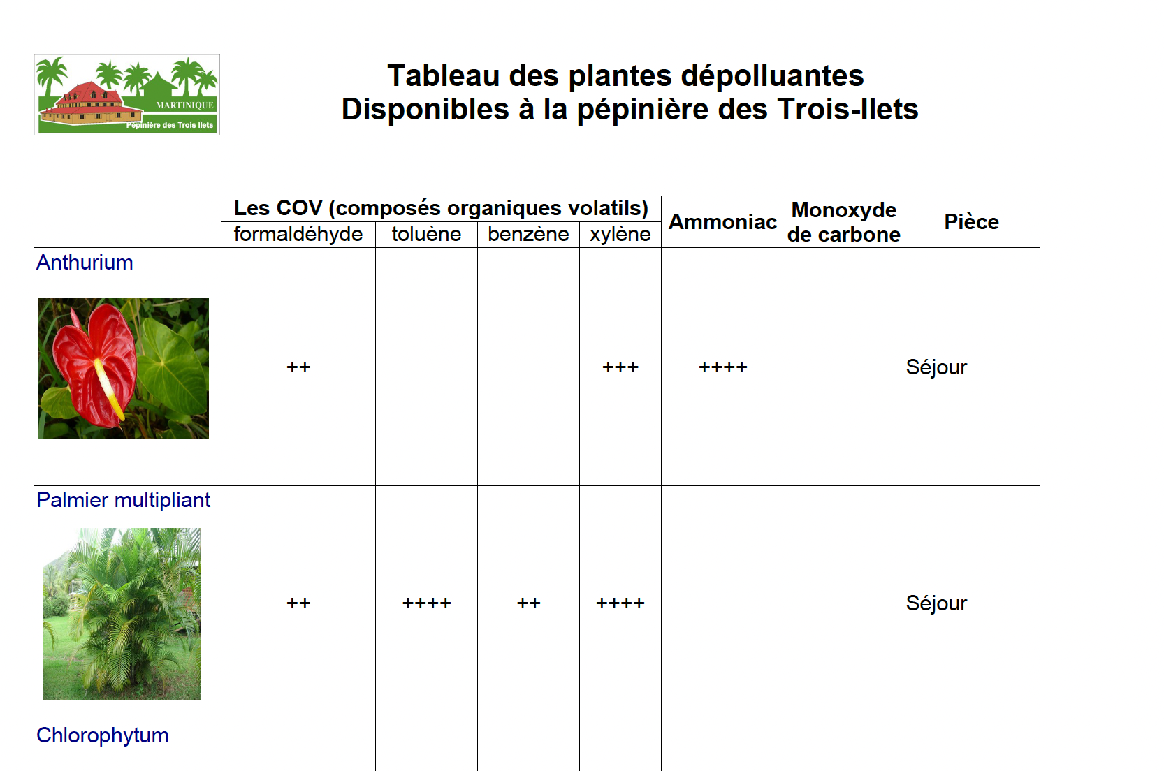 tableau des plantes dépolluantes pour la maison